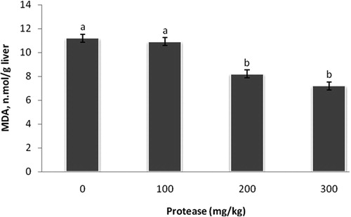 Figure 1. Effect of serine protease on the levels of MDA in the liver. Values are means ± standard SEM. Means not sharing a common superscript letter with the control differ (P < 0.05) as indicated by Dunnett's t Test.