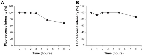 Figure 4 In vitro stability study for Cy5.5 conjugation on (A) nanoscaled and (B) submicron-scaled zinc oxide nanoparticles in HCl solution (pH 1.2).