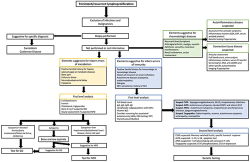 Figure 5 Diagnostic algorithm for the identification of rare causes of lymphoproliferation.