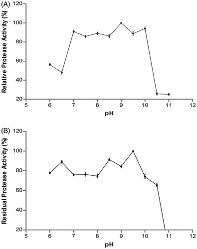 Figure 3. Effect of pH on activity (A) and stability (B) of the purified protease from A. pallidus C10.