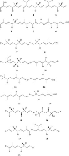 Figure 1. Halogenated acyclic monoterpenes isolated from four Plocamium species: 1–4 from P. cornutum (South Africa; Afolayan et al., Citation2009); 5–8 from P. corallorhiza (South Africa, Mann et al., Citation2007; Afolayan et al., Citation2009,) 9, 10 from P. brasiliense (Brazil; Vasconcelos et al., Citation2010); 11 from P. cartilagineum (Portugal, Abreu and Galindro, Citation1996); 12–14 from P. corallorhiza (South Africa, Mann et al., Citation2007) and 15–19 from P. cartilagineum (California; Mynderse and Faulkner, Citation1975).