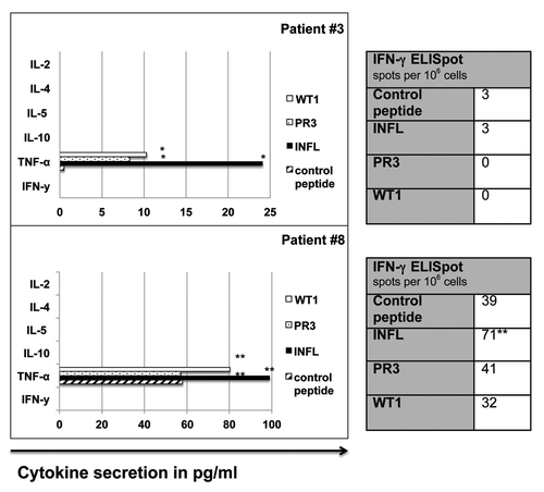 Figure 2. Cytometric bead array (CBA) and IFN-γ ELISpot in patients with TNF-α+/ IFN-γ- CD8+ T cells. TNF-α+/ IFN-γ- antigen-specific T cell responses in patients #3 and #8 as measured by CBA and IFN-γ ELISpot. *, peptide-specific cytokine secretion; **, detectable over background, but not meeting our predefined cut-off for specificity. INFL, Influenza-A; IFN-γ, Interferon-γ; PR3, proteinase-3; TNF-α, Tumor necrosis factor-α; WT1, Wilms´ tumor protein- 1.