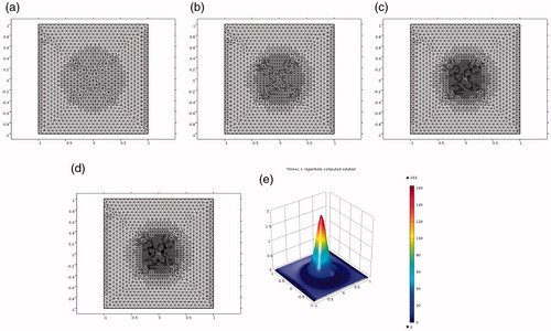 Figure 3. Test 2(a). (a)–(d) Locally adaptively refined meshes of Table 3. (e) Computed solution on the four times adaptively refined mesh (d).