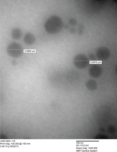 Figure 1 Transmission electron microscopic image of quercetin-mixed polymeric micelles. Scale bar: 100 nm at a 2×105 magnification.