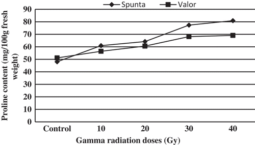 Figure 5. Gamma radiation impact on proline content of Spunta and Valor plantlets.