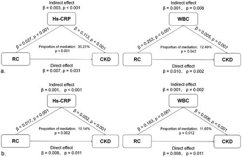 Figure 3. Mediation analysis of the preinflammatory state on the association between RC and CKD. a. unadjusted; b. adjusted for age, sex, BMI, education, residence, smoking, alcohol consumption, hypertension and diabetes.RC: remnant cholesterol; CKD: chronic kidney disease; hs-CRP: high-sensitivity C-reactive protein; WBCs: white blood cells
