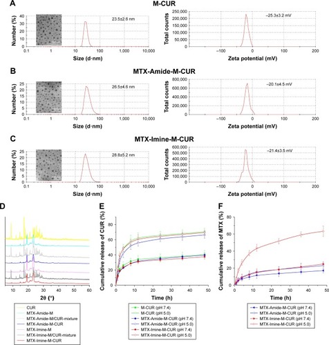 Figure 2 Hydrodynamic size distribution, zeta potential, and TEM images of (A) M-CUR, (B) MTX-Amide-M-CUR, and (C) MTX-Imine-M-CUR. (D) XRD spectra of CUR, MTX-Amide-M nanocarriers, MTX-Amide-M nanocarriers/CUR mixture, MTX-Amide-M-CUR nanosystems, MTX-Imine-M nanocarriers, MTX-Imine-M nanocarriers/CUR mixture, and MTX-Imine-M-CUR nanosystems. (E) In vitro release profiles of CUR from M-CUR, MTX-Amide-M-CUR, and MTX-Imine-M-CUR in PBS buffer (pH 7.4 and 5.0) at 37°C. (F) In vitro release profiles of MTX from MTX-Amide-M-CUR and MTX-Imine-M-CUR in PBS buffer (pH 7.4 and 5.0) at 37°C.Abbreviations: CUR, curcumin; DSPE-PEG, 1,2-distearoyl-sn-glycero-3-phosphoethanolamine-N-[(polyethylene glycol)-2000]; M-CUR, MTX unconjugated DSPE-PEG assembling micellar nanoparticles loaded with CUR; MTX, methotrexate; PBS, phosphate buffer saline; TEM, transmission electron microscope; XRD, X-ray diffractometer.