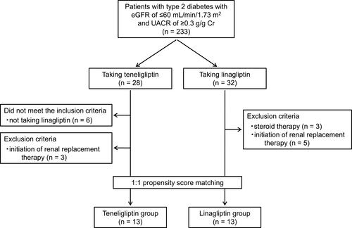 Figure 2 Patient flow diagram.