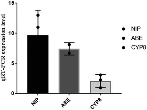 Figure 4. Expression levels of CYP81A6 gene in the three groups of samples.