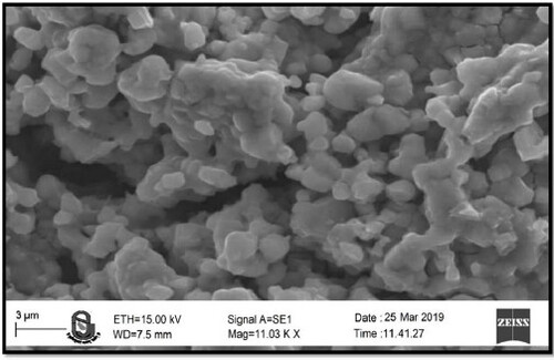 Figure 9. Scanning electron microscopy of GM nanoparticles.