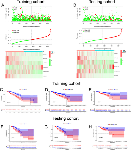 Figure 3 Identification of prognostic aging-related lncRNA signature in training and testing cohort. The distribution and survival status of BC patients with different risk scores in training cohort (A) and testing cohort (B). The green and red dots represented survival and death, respectively. The heatmap exhibited the expression levels of the 6 AG-lncs in the high- and low-risk groups. The Kaplan-Meier survival analysis showed the OS, the PFI, and the DSS of BC patients between high- and low-risk groups in the training cohort (C–E) and testing cohort (F–H).