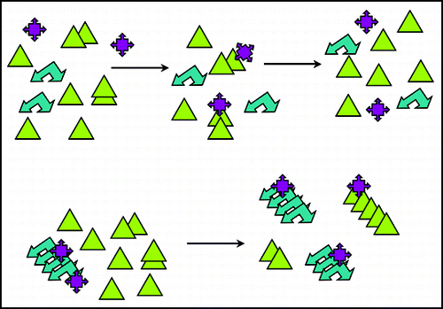 Figure 4 Titration model for [PIN+]. Top: in a [psi-] [pin-] cell, cellular factors (purple shape) keep Sup35 (green triangles) and Rnq1 (blue arrows) from aggregating. Bottom: in a [psi-] [PIN+] cells, much of the factor is bound to the [PIN+] aggregate, so less is available to keep Sup35 from aggregating.
