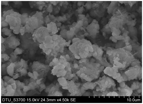Figure 2. Morphology of the lime mud powder particles in 10 μm.