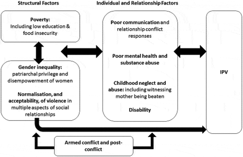 Figure 1. Drivers of IPV