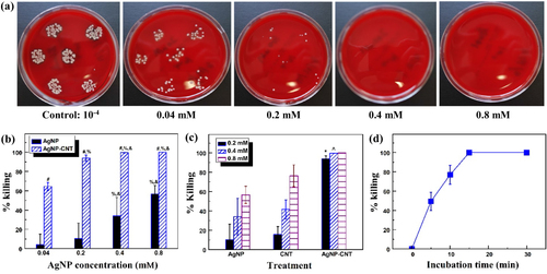 Figure 4 (a) Visual effects of AgNP-CNT on S. aureus killing. (b) Antimicrobial killing percentage of AgNP-CNT and AgNPs against S. aureus. (c) Antimicrobial effects of AgNPs, CNTs, and AgNP-CNT at concentrations corresponding to 0.2, 0.4, and 0.8 mM AgNP-CNT. (d) Antimicrobial killing kinetics of AgNP-CNT nanohybrids at 0.2 mM. #Compared to the same concentration of AgNPs, %Compared to the same treatment at 0.04 mM, &Compared to the same treatment at 0.2 mM, *^Synergistically significant when compared to the sum of the treatments of CNTs and AgNPs. p<0.05.