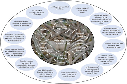 Figure 2. (Centre circle) A conceptual indigenous research framework adapted from Kovach (Citation2009); and (Outer circle) Some of the actions completed to date in the Ngā Kete o Te Wānanga research programme to adapt and implement this indigenous research framework in the Murihiku takiwā. IP = Intellectual Property, NKTW = Ngā Kete o Te Wānanga, and MRAG = Murihiku Rūnanga Advisory Group (Source: Williams et al. Citation2018)
