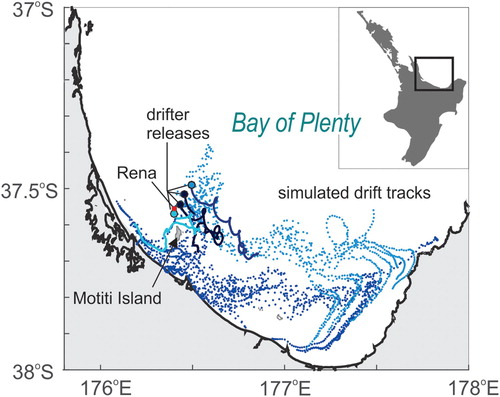Figure 7. Lagrangian realisations associated with the MV RENA grounding showing observed surface drifter tracks in conjunction with drifter simulations (Mark Hadfield, unpubl.). The observed data run from 24 Oct 2011 to 31 Oct 2011 although one drifter stopped transmitting after only two days. The 1248 simulated drifters were all released at the same location (the Rena wreck site), at an interval of 30 min, for 26 days. The darker symbols are for earlier released drifters.