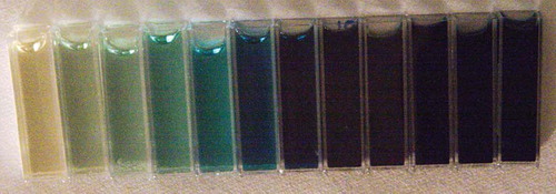 Figure 2. Presage™ detectors irradiated from 0 to 10 kGy. Twelve Presage™ samples irradiated with γ-photons from a Co-60 source in the dose range from 0 (left) to 10 kGy (right).