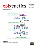 Cover image for Epigenetics, Volume 8, Issue 5, 2013