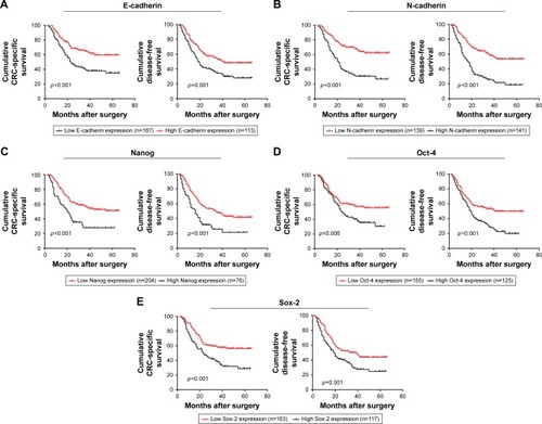 Figure 5 Prognostic significance of epithelial-to-mesenchymal transition and cancer stem cell markers in stage III/IV CRC patients.