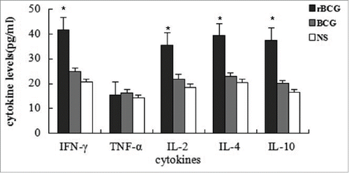 Figure 4. The level of different cytokine in culture supernatants from splenocytes stimulated by rBCG-EgG1Y162 and BCG, respectively. There were no significant differences in TNF-α among each group. Levelsof IL-4, IFN-γ, IL-10, and IL-2 increased significantly in culture supernatants from splenocytes stimulated by rBCG-EgG1Y162. (* means significant difference, P < 0.05).