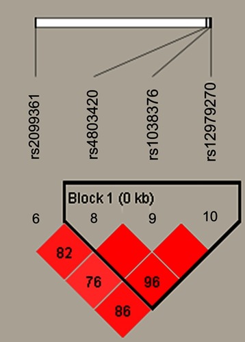 Figure 2 The haplotype block diagram constructed by candidate SNPs in CYP2B6 in males.