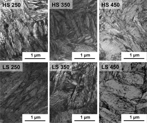 Figure 3. Representative microstructures for HS and LS tempered at 250, 350 and 450 C.