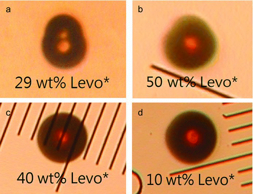 FIG. 6 Photo images of Levo*/SA particles with (6a and 6b) and without (6c and 6d) phase separation.