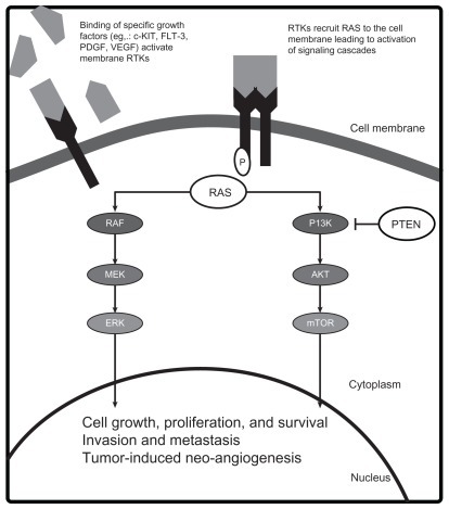 Figure 1 Molecular pathogenesis of melanoma.