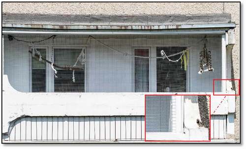 Figure 1. Home balcony keeping ornamental birds in Wałbrzych, Poland [author: Emil Paluch] (as the example of potential Salmonella spp. transmission from wild, free-living birds (zoom on the lower, right arrow) to ornamental birds outdoor)