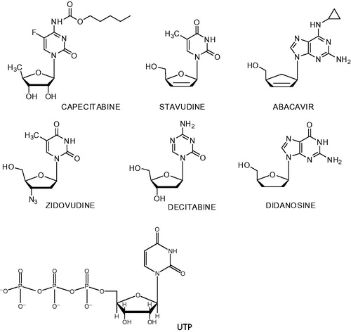 Figure 2. Structure of the nucleoside analogs and the natural substrate of UDP-glucose pyrophosphorylase, UTP.