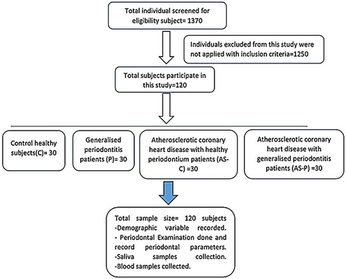 Figure 1 Flowchart of the study design for CHD and periodontitis patients.