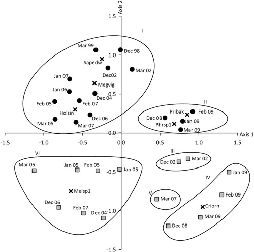 Figure 2 Two-dimensional SSH ordination of beetle species (×) caught at two biodiversity sanctuaries in Wellington. The six groups identified by the FUSE clustering analysis within the two biodiversity sanctuaries have been superimposed as ellipses around plots with similar species composition. Group codes are: I = plots at Zealandia between November–December 1998 and March 2007; II = plots at Zealandia November–December 2008 and March 2009; III = plots at Otari-Wilton's Bush between March and November–December 2002; IV = plots at Otari-Wilton's Bush between November–December 2004 to February 2007; V = plots at Otari-Wilton's Bush during March 2007; and VI = plots at Otari-Wilton's Bush between November–December 2008 and March 2009. Black circles = Zealandia; grey squares = Otari-Wilton's Bush. Species codes are: Sapedw = Saphobius edwardsi (Scarabaeidae); Megvig = Megadromus vigil (Carabidae); Holsin = Holcaspis sinuiventris (Carabidae); Pribak = Pristoderus bakewellii (Zopheridae); Phrsp1 = Phrynixus sp. 1 (Curculionidae); Melsp1 = Melanophthalma sp. 1 (Latridiidae); and Criorn = Crisius ornatus (Curculionidae).