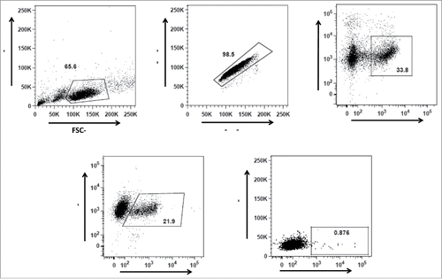 Figure 2. Gating strategy for gp140 binding IgG+ (B)cells from the vaccinated and unvaccinated cows. (A) Gating strategy for lymphocytes according to their size and granularity, (B) Gating on singlet cells, (C) Gating for viable CD21+ B cells, and (D) Gating of IgG+ CD21+ cells. Gp140 reactive memory IgG B cells (E) were identified as viable CD21+ IgG+ gp140+ cells within the lymphocyte gate.