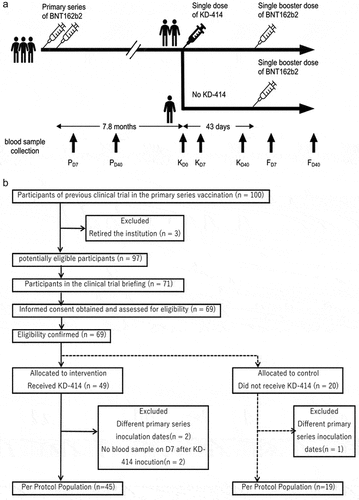 Figure 1. Study protocol(a) and flow diagram(b).