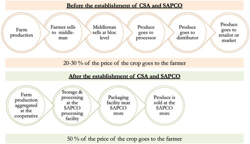 Figure 2. Value chain before and after SAPCO.