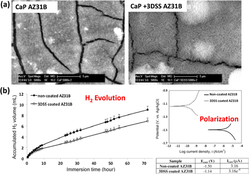 Figure 11. (a) surface morphologies of CaP coating on AZ31B alloys with and without the co-presence of dentin sialophosphorprotein (3DSS) peptide (b) H2 generation and polarization profiles of non-coated and 3DSS coated AZ31B alloy (reprinted from [Citation90], copyright 2013, with permission from Elsevier).
