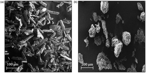 Figure 11. SEM photographs of (a) IRB (b) SNEDDS-loaded liquisolid mixture of IRB.