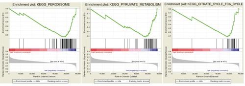 Figure 8 Gene set enrichment analysis.