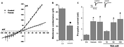 FIGURE 3  Venom blocks the TEA-sensitive current. (A), I/V relation in the absence or presence of 7.5 μg/ml venom. (B), the membrane conductance is reduced in spermatozoa exposed to the venom. (C), comparative effect of venom, high K+, and increasing concentrations of TEA (10 to 50 mM) on the prepulse current. The insert shows sample recordings of the prepulse in control cells and cells exposed to venom. The bars represent means±SD of six different experiments.*