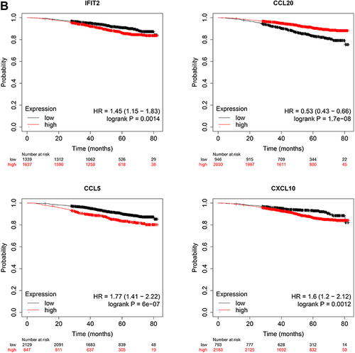 Figure 4 (A) Relationship between differential genes and immune Cell infiltration and (B) Kaplan-Meier Plotter Survival Analysis.Partila.cor is the correlation coefficient, Abscissa is the degree of cell infiltration, ordinate is the level of gene expression. P < 0.05 was statistically significant.