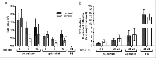 Figure 1. Effect of double-stranded RNA (dsRNA) on epithelial barrier function in the polarized epithelial mesenchymal trophic unit (EMTU) co-culture model. The EMTU co-culture model or HBEC or fibroblast monoculture controls were challenged with poly(I:C) (1μg/ml) and ionic or macromolecular permeability determined by transepithelial resistance (TER) measurements (A) or FITC-dextran diffusion (B) respectively. Results are means ± SD, n = 7 (A) and n = 3–5 (B). *P ≤ 0.05, ***P ≤ 0 .001 compared to unstimulated controls (2-way ANOVA with Bonferroni correction).