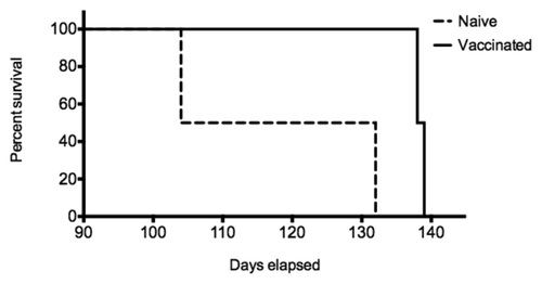 Figure 6. Active immunization and oral challenge of sheep. Pregnant ewes (n = 2/group) received two immunizations of either Lkt or Lkt-β2(2+YYR+9)I vaccine at six and three weeks prior to birthing. Lambs born from Lkt (n = 4) or Lkt-β2(2 + YYR + 9)I (n = 3) vaccinated ewes were challenged with 1 g of scrapie brain homogenate via gastric feeding immediately following birth. Animals were continuously monitored for the onset of scrapie symptoms by 24 h video surveillance.