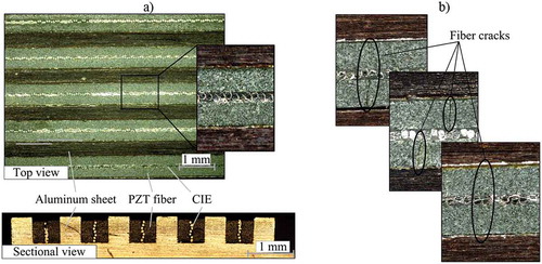 Figure 12. Microscopic inspection results after joining, a) Joining result with forming up to 8 kN and no visible cracks, b) Failure mode due to excessive pressing forces up to 12 kN.