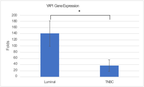 Figure 2 YAP1 mRNA expression in the different molecular subtypes of breast cancer. qRT-PCR analysis showing significant increase in average YAP1 mRNA in luminal compared to TNBC (*P = 0.017).