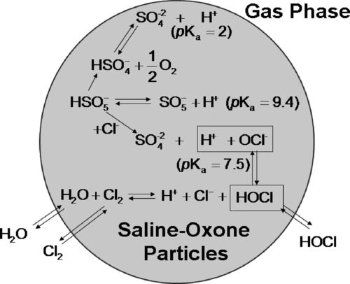 FIG. 1 Possible reaction mechanisms in the internally mixed saline Oxone aerosol.