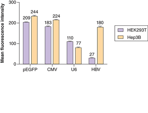 Figure 5. Fluorescence image analysis.MFI Analysis of difference in GFP expression levels by liver-specific and non liver-specific promoters in Hep3B and HEK293T cells. MFI values for Hep3B cells: pEGFP = 244; pSilencerCMV–GFP = 224; pSilencerU6–GFP = 77; pSilencerHBV–GFP = 180. MFI values for HEK293T cells: pEGFP = 209; pSilencerCMV–GFP = 183; pSilencerU6–GFP = 110; pSilencerHBV–GFP = 27. All the data were indicated as mean ± SD (p < 0.05). Two way ANOVA statistics yielded significant differences between the groups and t-independent test yielded significant differences within the group.ANOVA: Analysis of variance; HBV: Hepatitus B virus; MFI: Mean fluorescence intensity: SD: Standard deviation.