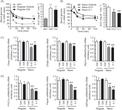 Figure 4. Effects of Nano-Orz on insulin tolerance and hepatic gene expressions related to ER stress and glucose homeostasis in ob/ob mice. Blood glucose levels and the AUC during ITT treated with regular γ-oryzanol (A) and Nano-Orz (B) for 3 weeks. Data are expressed as mean ± SEM (n = 8). †† p < 0.01 compared with ob/+ mice. *p < 0.05, **p < 0.01 compared with Nano-Vehicle-treated mice mice. (C, D) Expression levels of mRNA for Chop, ERdj4, Xbp1s (C), PGC1α, Pepck and G6Pase (D) in liver (n = 8). The mRNA levels were determined by real-time PCR and normalized by those of 18S rRNA. Data are expressed as mean ± SEM. *p < 0.05, **p < 0.01 versus vehicle-treated mice (Veh). ANOVA and repeated-measures ANOVA followed by multiple comparison tests (Bonferroni/Dunn method) were used.