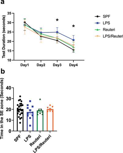 Figure 1. Maternal L. reuteri supplementation during lactation rescued spatial learning deficit induced by maternal LPS exposure. (a) Significant difference during training at 12 weeks was found among SPF (n = 26), LPS (n = 11), L. reuteri (n = 8) and LPS/L. reuteri (n = 7) groups. SPF, L. reuteri and LPS/L. reuteri mice had significantly higher learning curve slopes than LPS by repeated measurement ANOVA. At training days 3 and 4, LPS mice took significantly more time to locate the escape platform than the mice of the other three treatment groups. Asterisks indicate significant differences of p-value at least <0.05. (b) Time in the platform quadrant during the probe trial was not different among the four treatment groups.