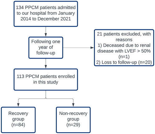 Figure 1. Study flowchart. LVEF: left ventricular ejection fraction; PPCM: peripartum cardiomyopathy.